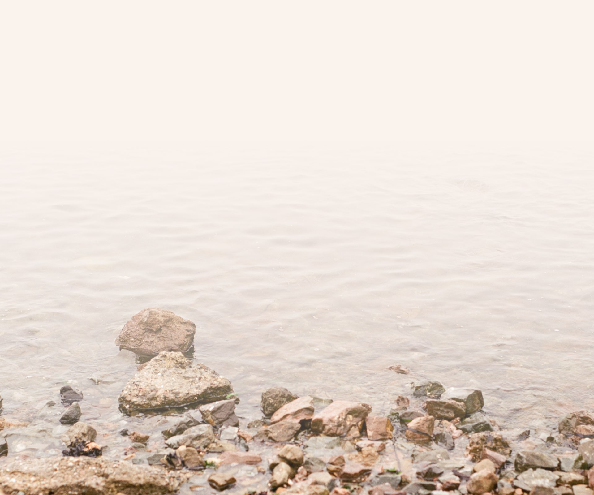 Jabon de Aleppo Ansuz